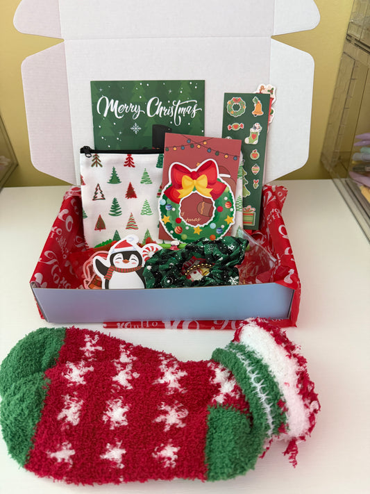 Everything Christmas Box - 1 of Everything!   17 Items